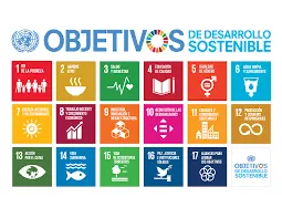 Se muestran los 17 ODS agrupados por colores, abarcando temas como salud, educación, igualdad y acción por el clima.