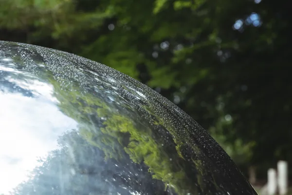 Primer plano de una superficie curva que refleja árboles y cielo, simbolizando el equilibrio natural que el efecto invernadero mantiene en el planeta.